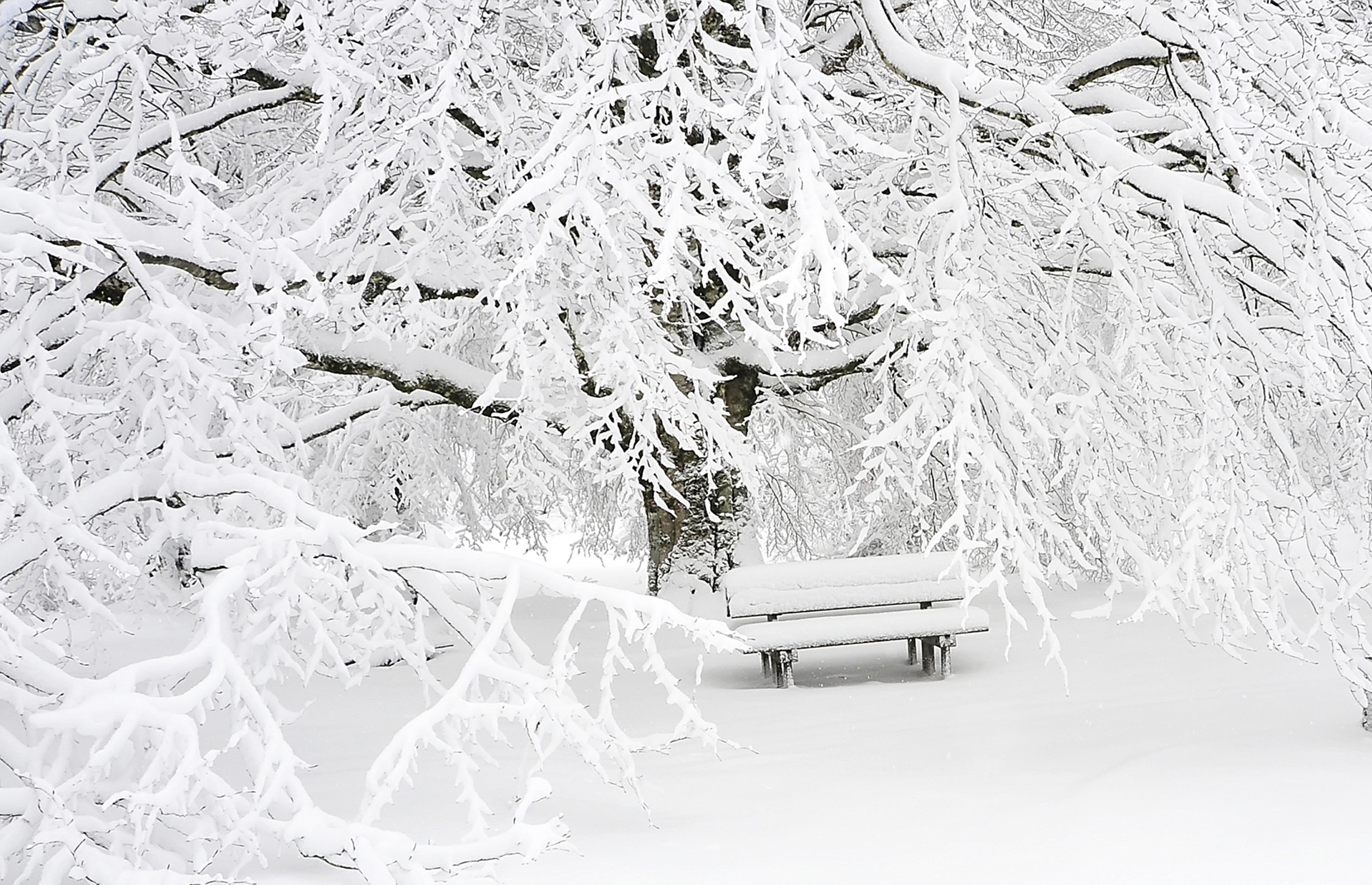 Wintertime Activities For Senior Adults Parallel Management Group